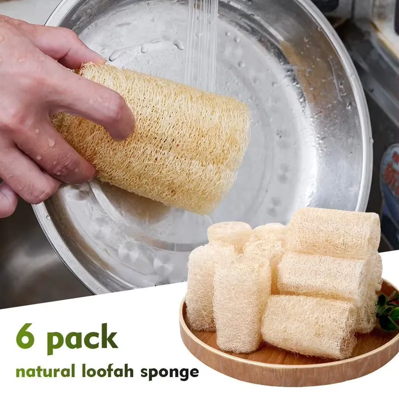 2026 En Yeni Doğal Lif Sünger  - Eco Sponge incelemesi ve fiyatı